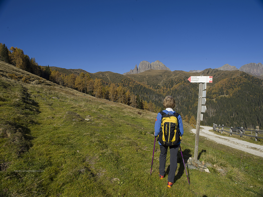 Fossernica di Fuori Alm, Vanoi Valley, Trentino Alto Adige, Italy, Europe