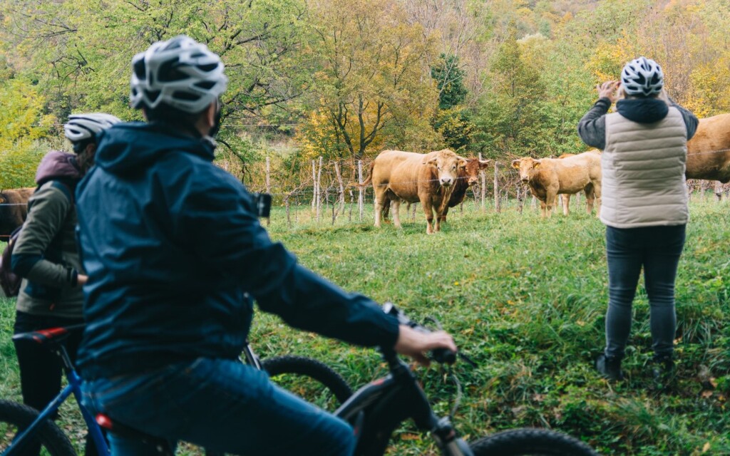 cicloturismo