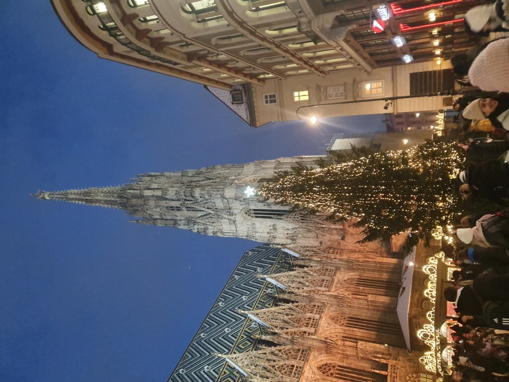 Mercatino attorno alla Cattedrale di Santo Stefano, ph. Maurizia Ghisoni