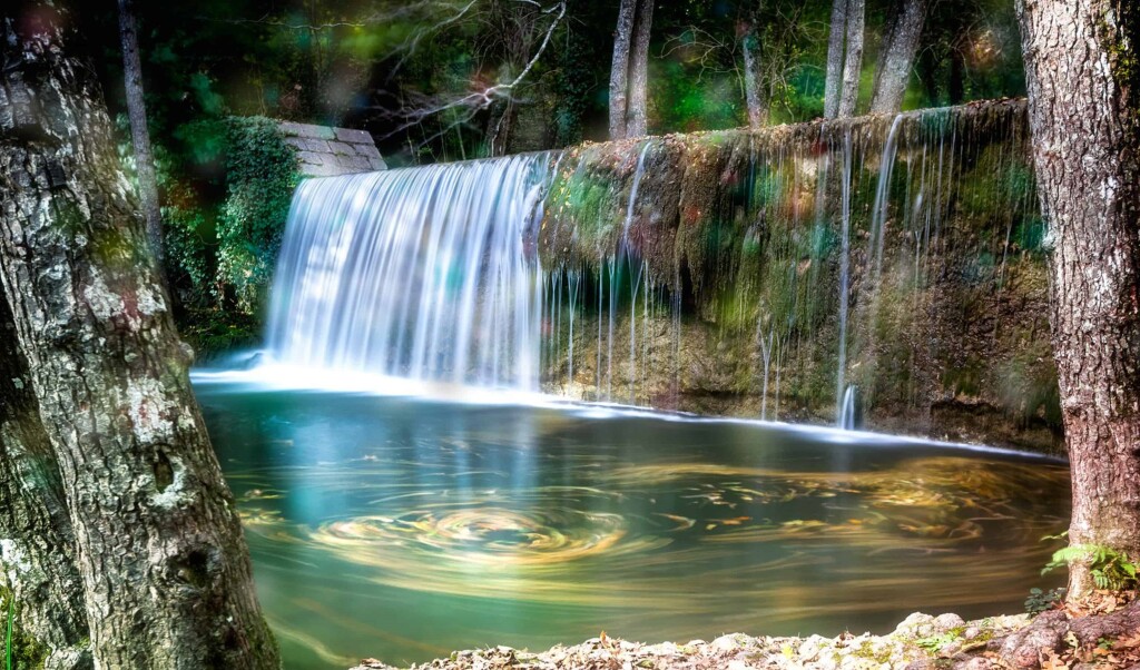 Bosco Magnano nel Pollino, credits APT Basilicata