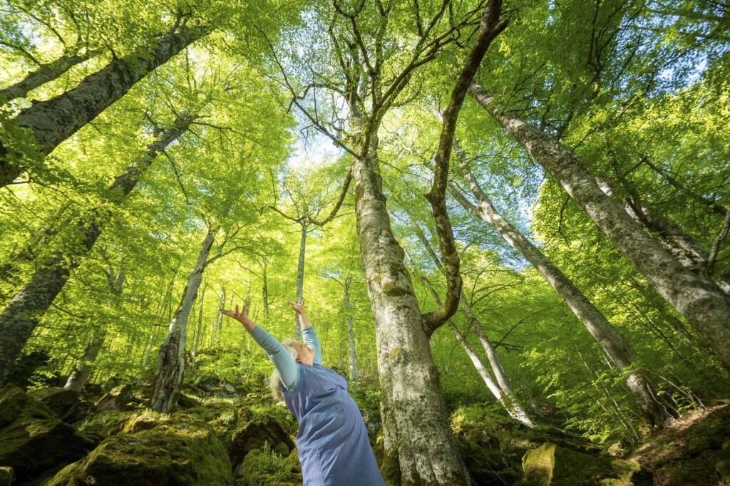 Basilicata, il Forest bathing credits APT Basilicata