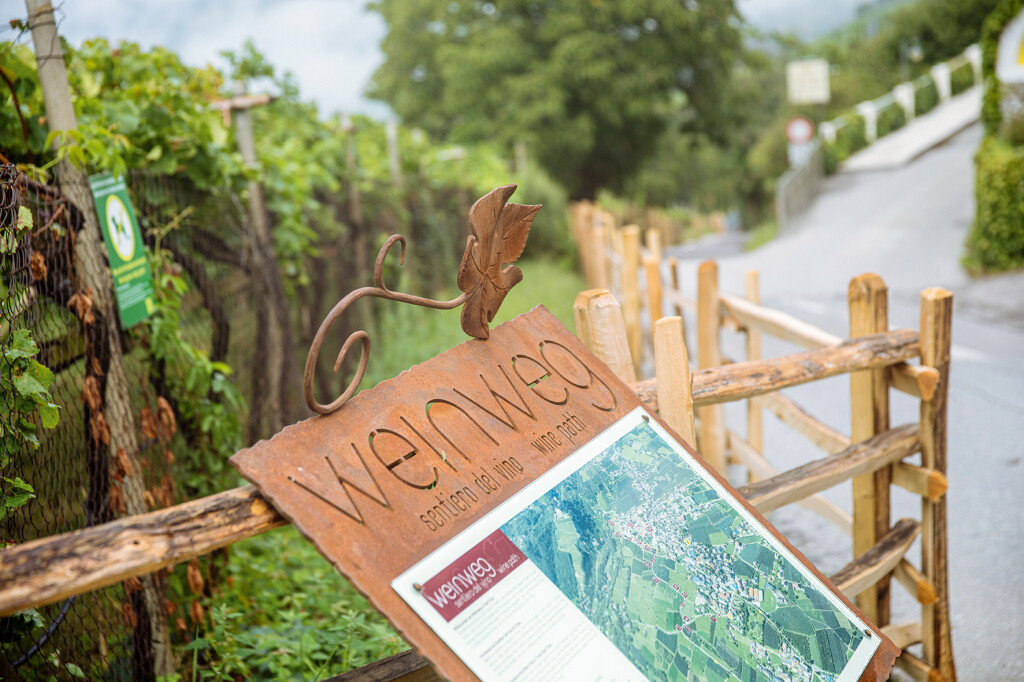 Strada panoramica del vino a Tirolo (Bz), credits  Associazione Turistica Tirolo