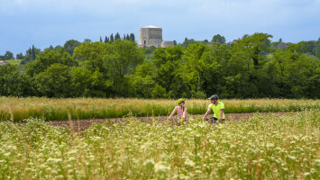 Cicloturisti sull'anello della Grande Guerra  credits  Turismo FVG