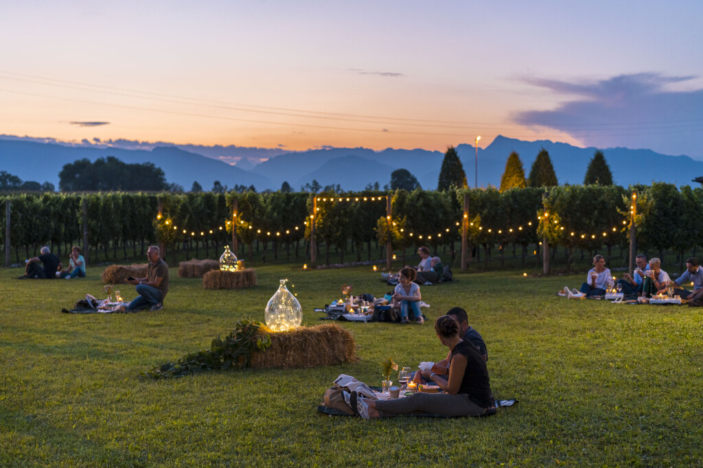 Pic-nic al tramonto in una vigna friulana credits Turismo FVG/ Fabrice Gallina