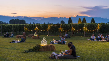 Pic-nic al tramonto in una vigna friulana credits Turismo FVG/ Fabrice Gallina