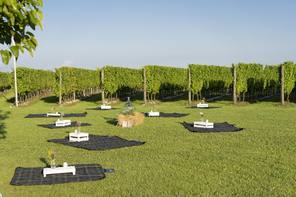 Friuli Venezia Giulia, è tutto pronto per il pic-nice in vigna  credits PromoTurismoFVG/Fabrice Gallina